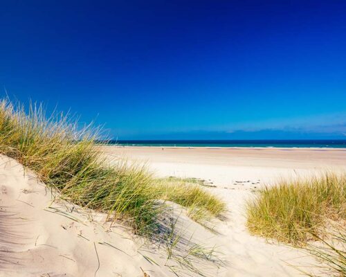 AS_469135667(beach)